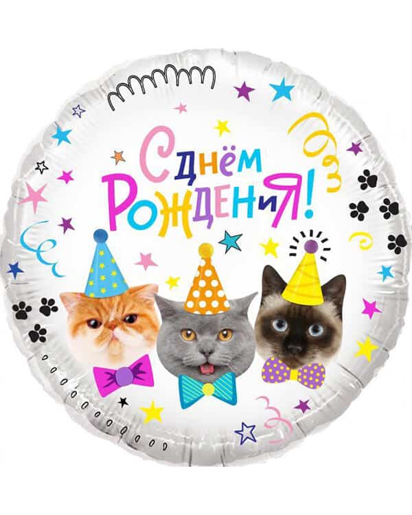 13344_Шар_(18_46_см)_Круг_Котики_С_Днем_Рождения!_1_шт_в_упак Круг Котики С Днем Рождения! — изображение 1